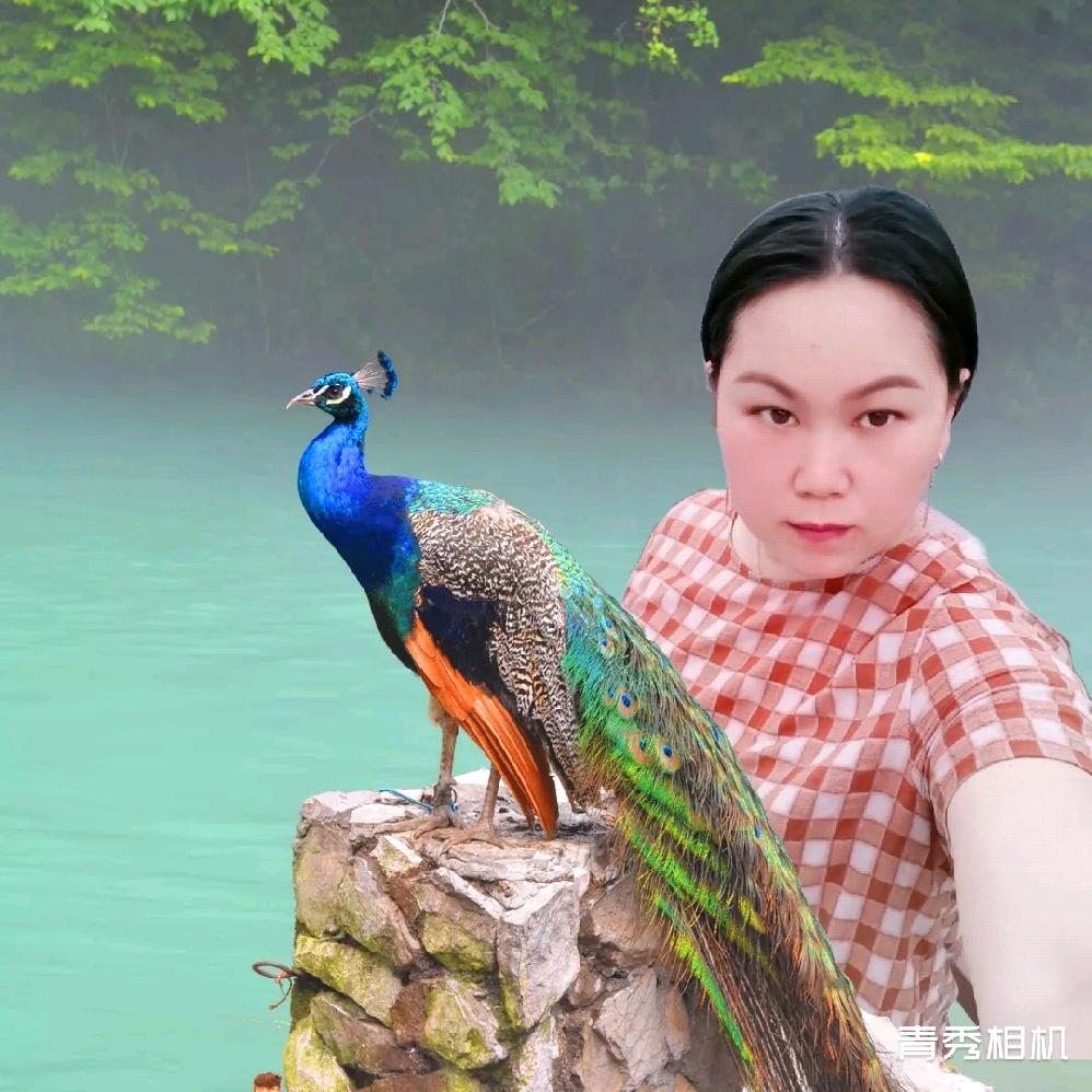 八方来财