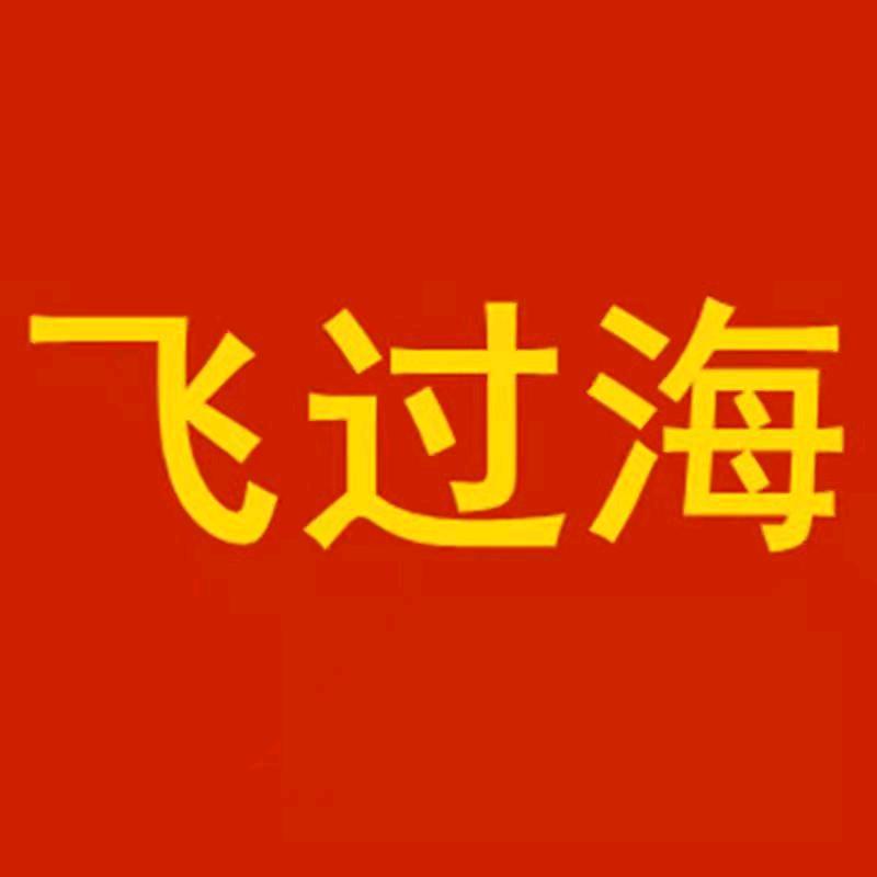 飞过海鞋业