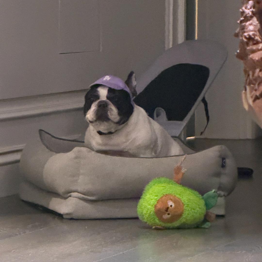 少女许愿池边的鹿晗