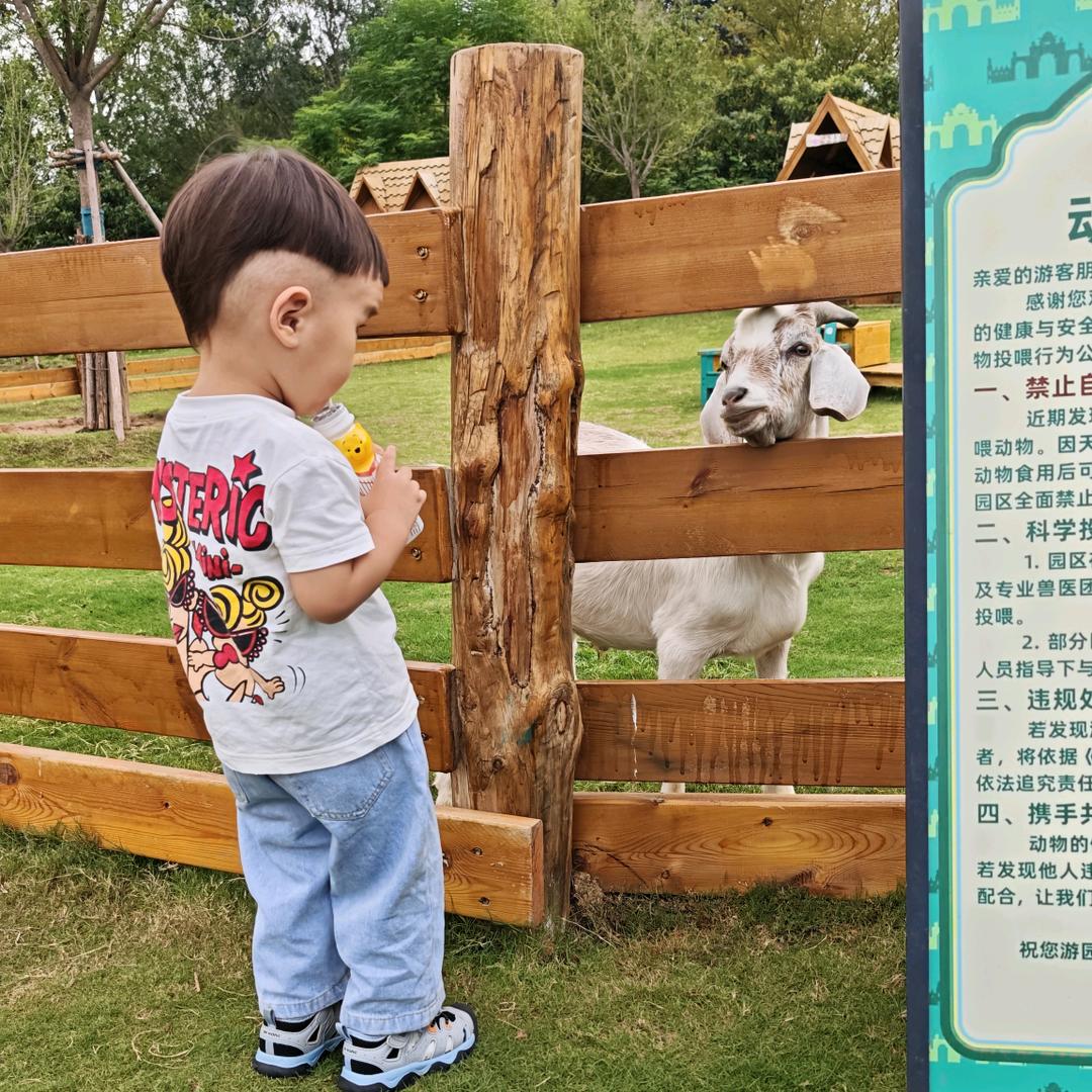 手持宝刀仰天笑