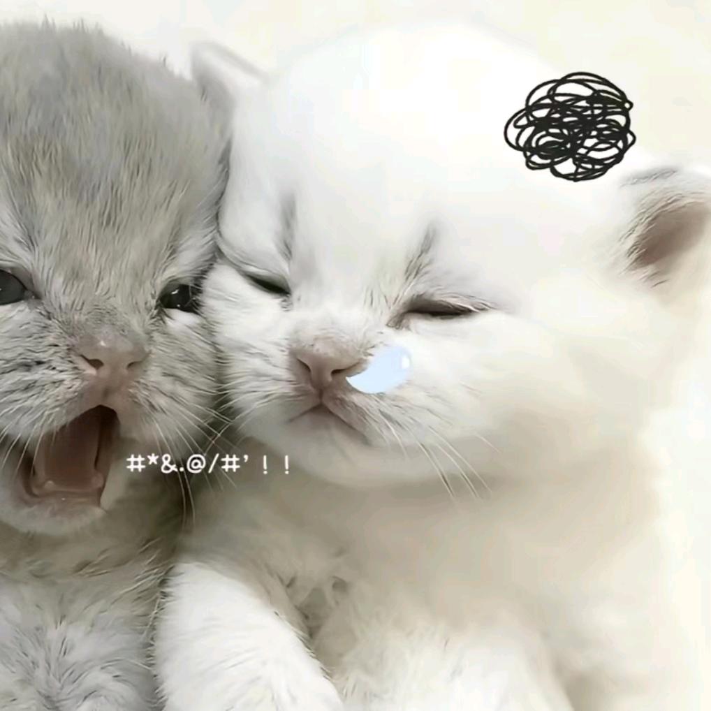 匕首