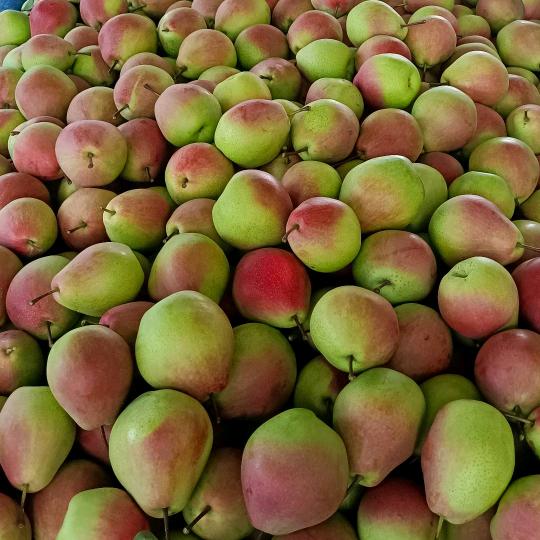 运城盐湖区诚信果客接待