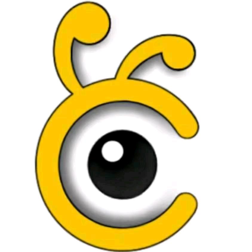 南充猛犸象美缝