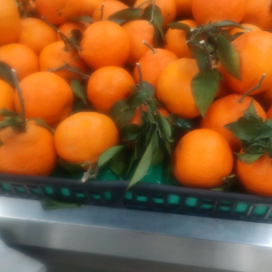 举起手来