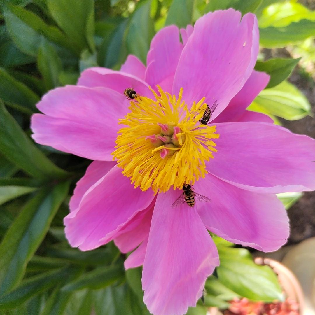甜❤️馨小宝贝