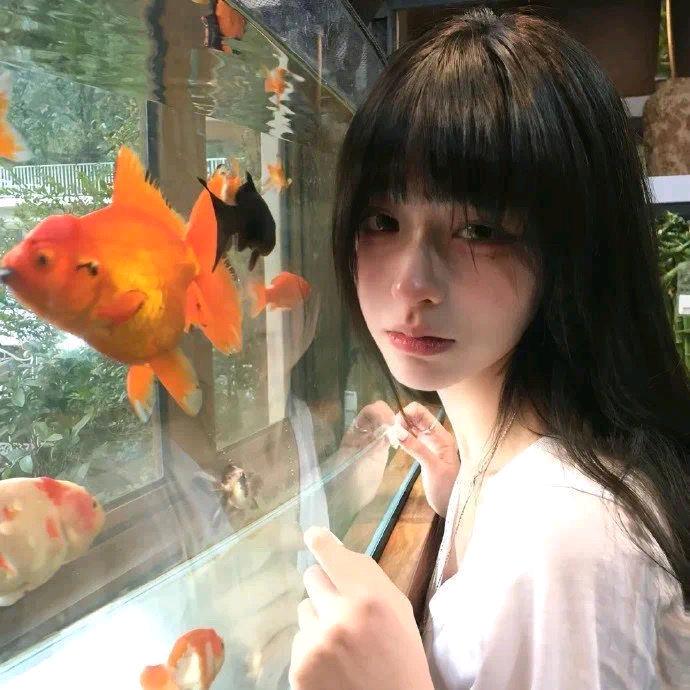 扶摇影视屋