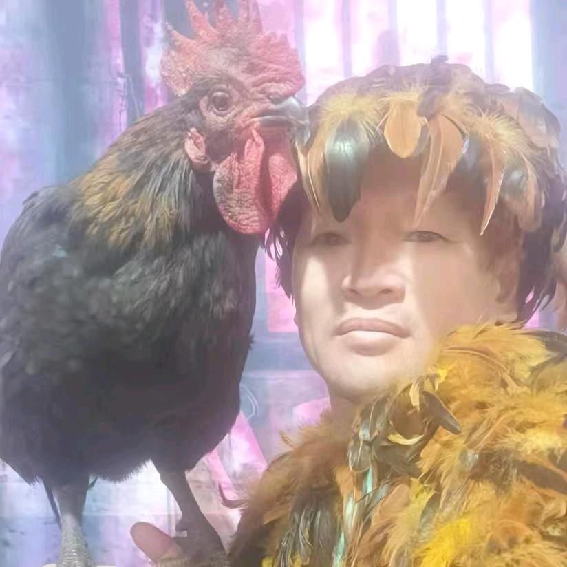 鸡毛