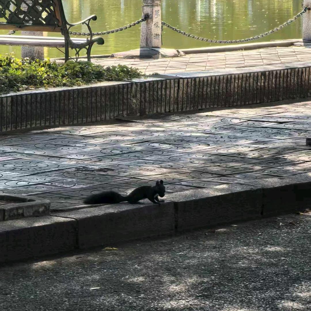 别害怕不是尸体