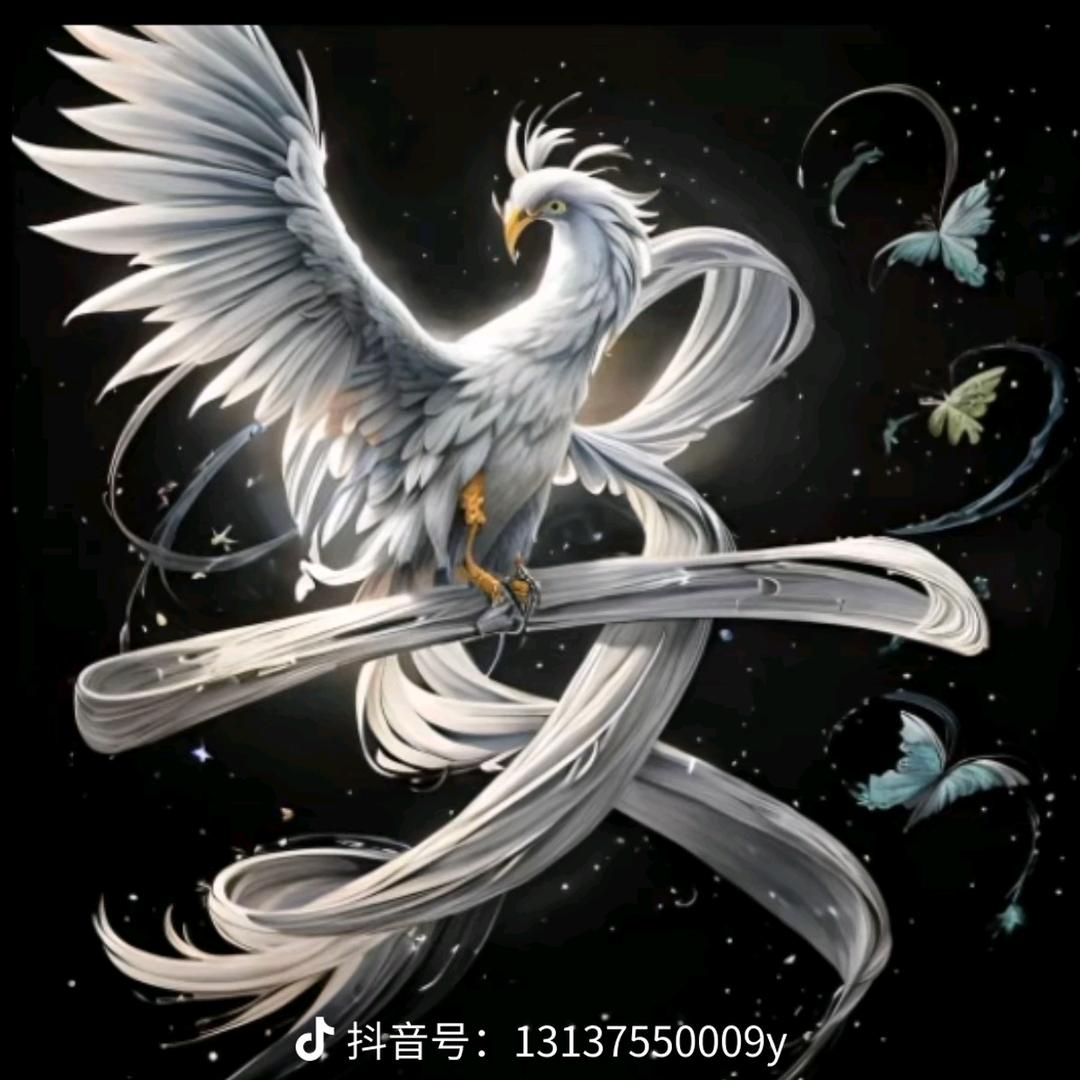 骑着鸭子玩漂移