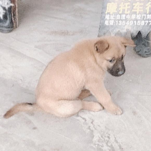 二爷哥