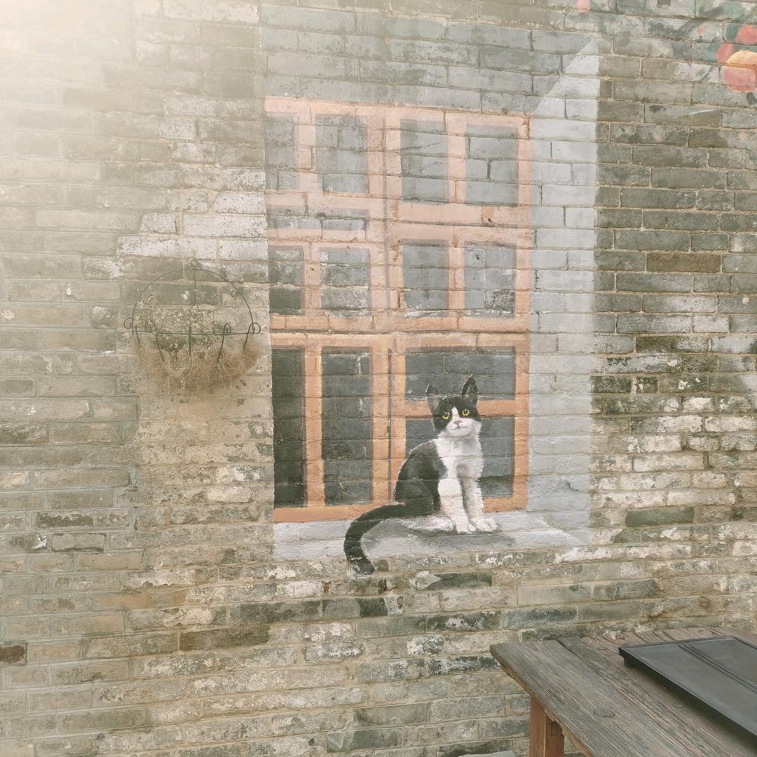 梦想自由的阿旭