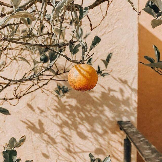 山水蒙