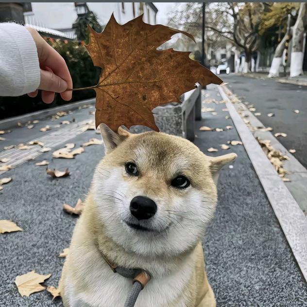 江東.