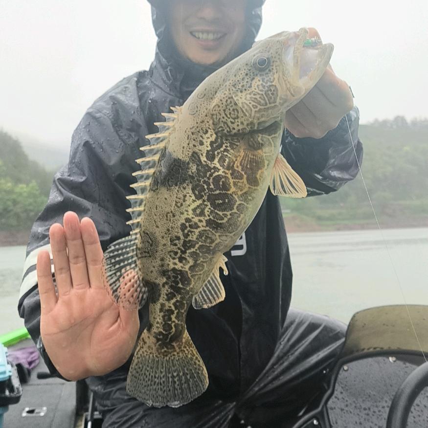 饵飘飘🎣(斑鳜导钓）