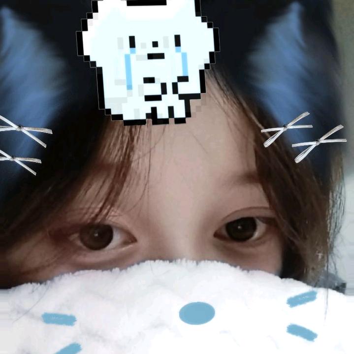 一只米粒大的猫