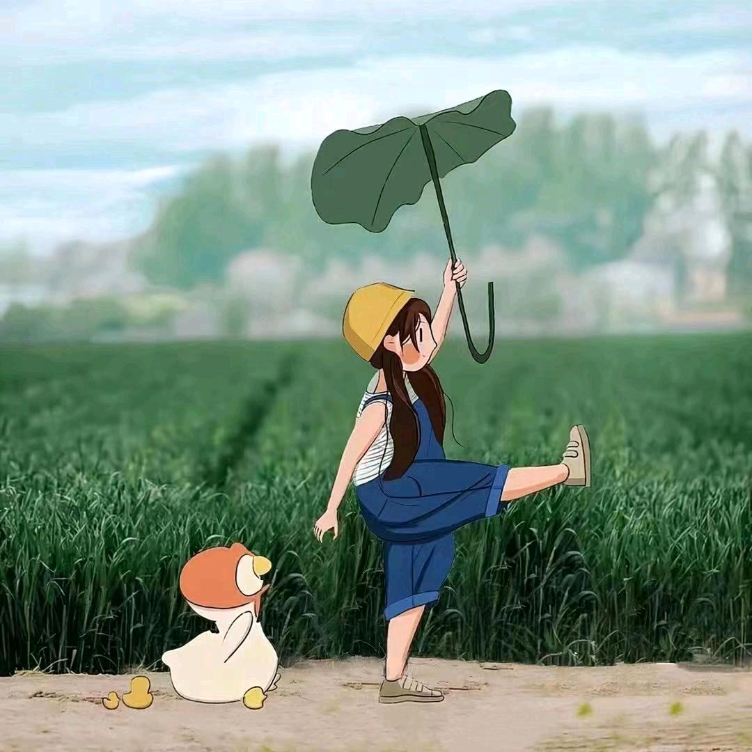 张露