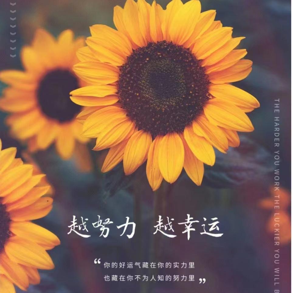 辣姐很甜