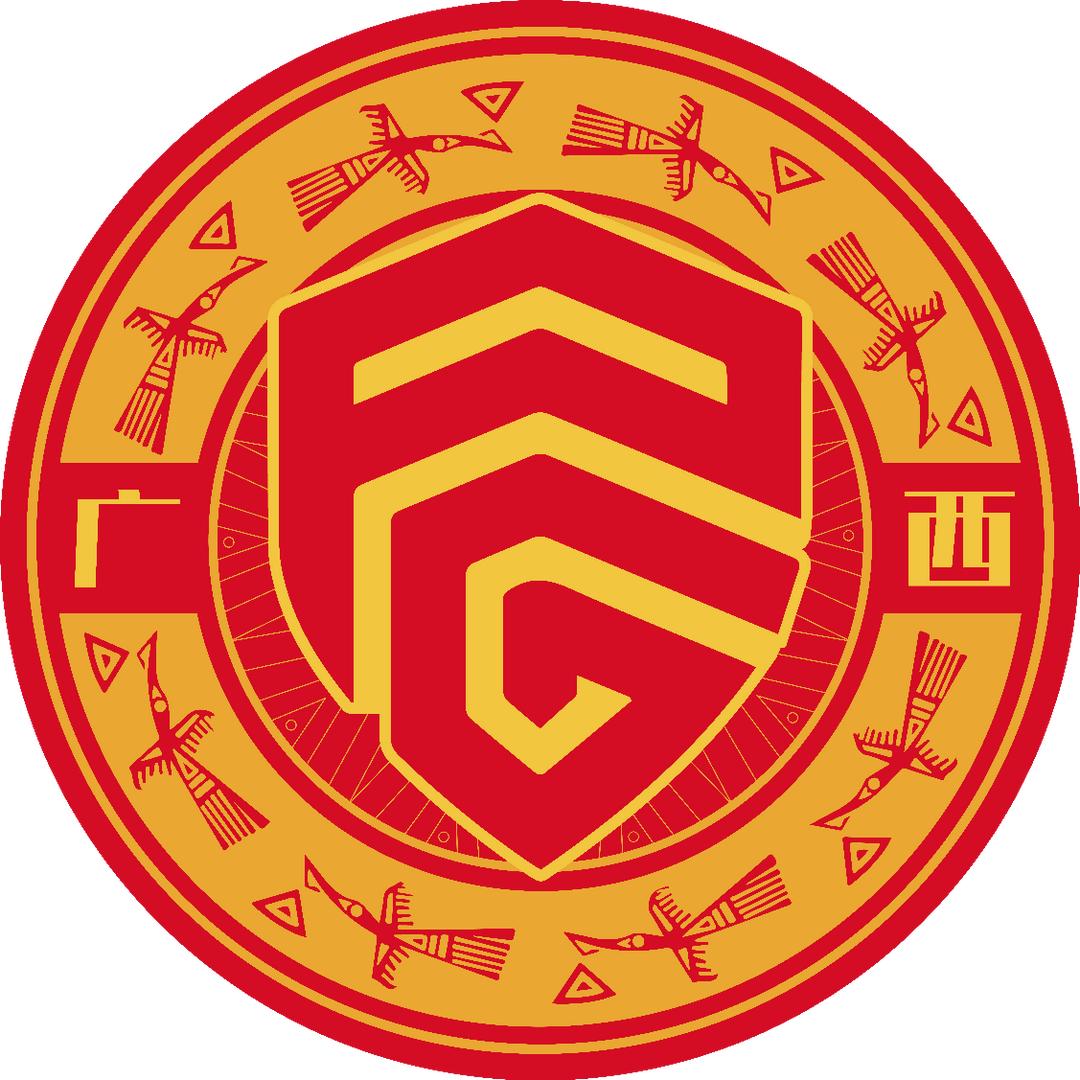 广西平果足球俱乐部有限公司