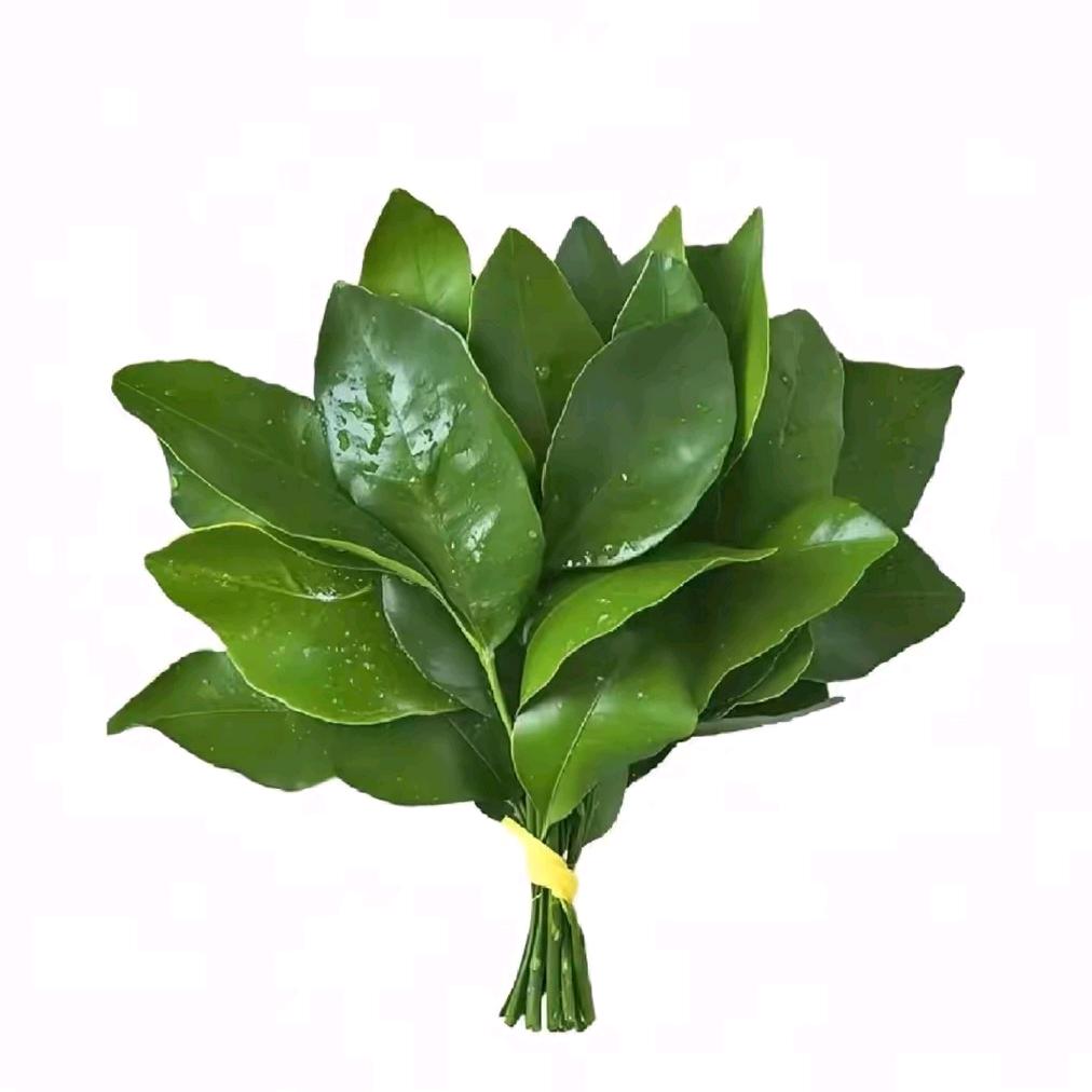 花开富贵.