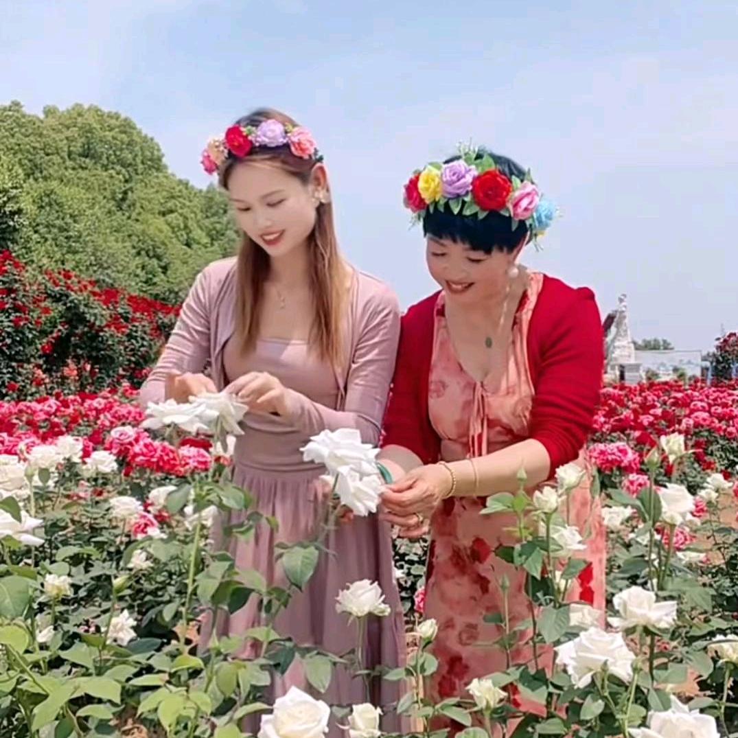 小芝姐