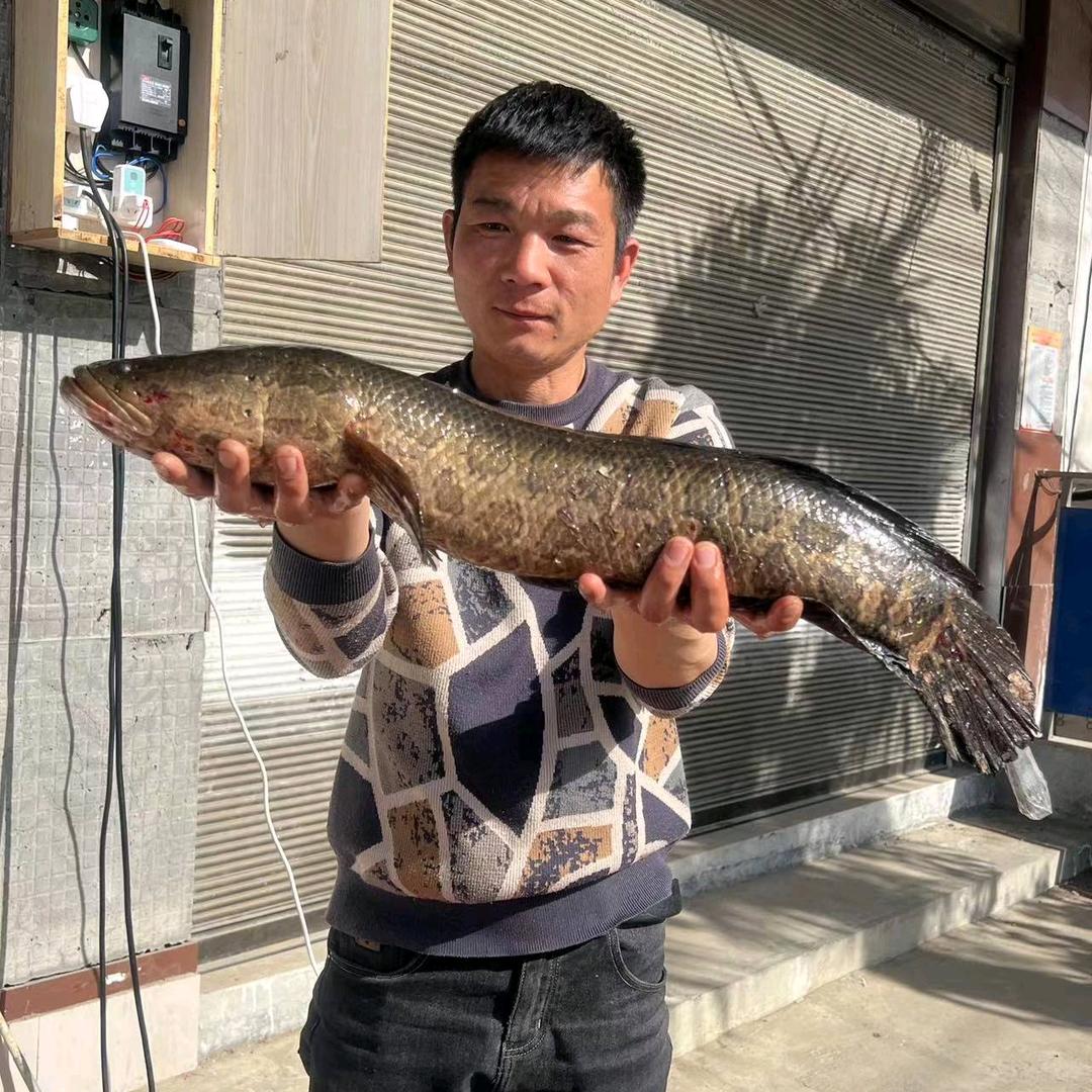 项城市秣陵镇全腾渔具店