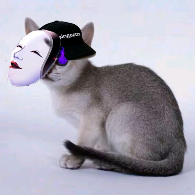 singapura新加坡猫