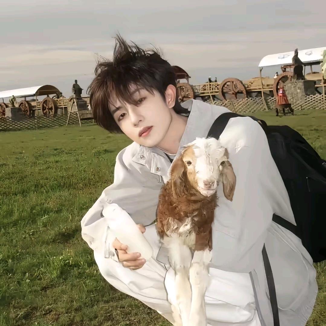 夫妻肺片没有夫妻