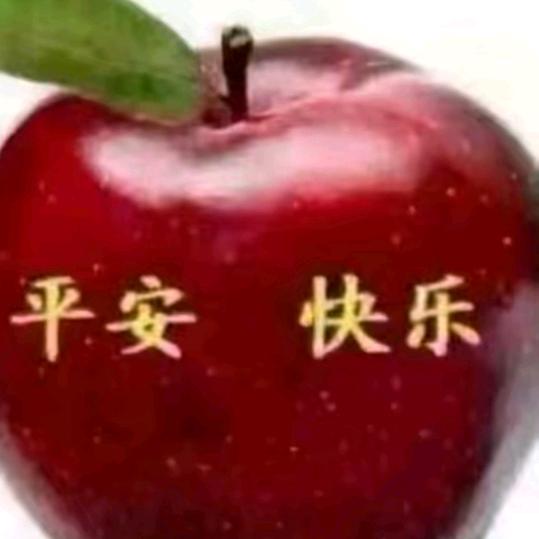 兔兔🍎