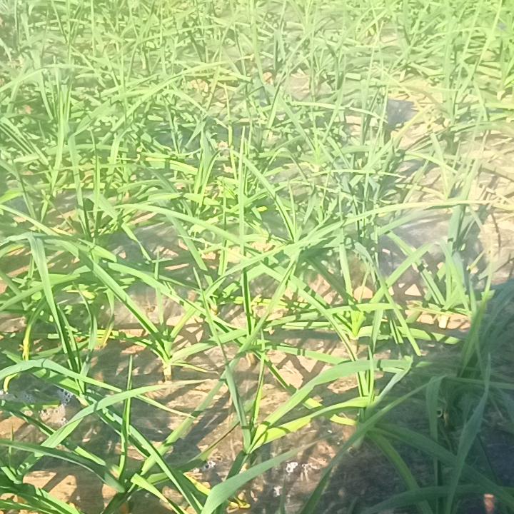 梅梅！