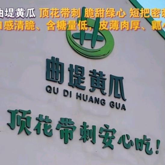 黄瓜豆角丝瓜西红柿批发专业户