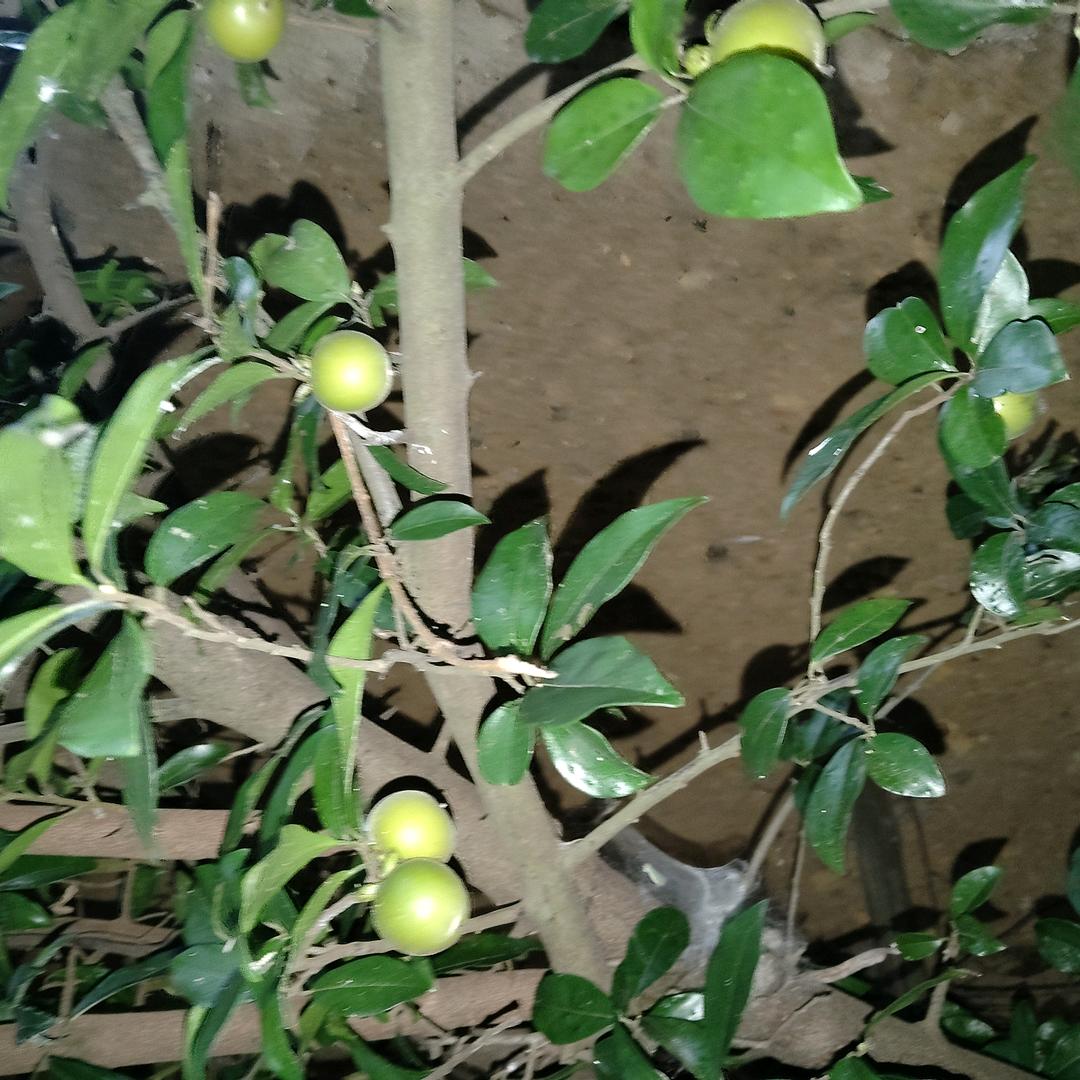 刘明撤除。混凝土金刚砂