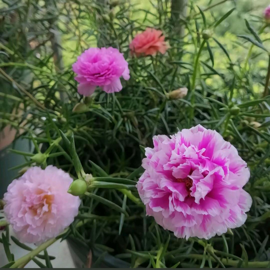 暖时光