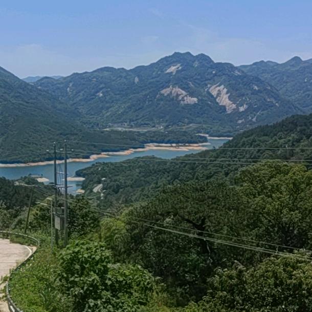 裤脚湖稻鳖养殖