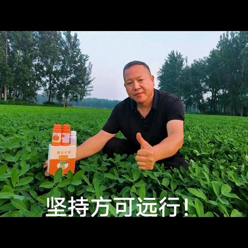 民权县程庄镇李堂洪伟农资销售门市部