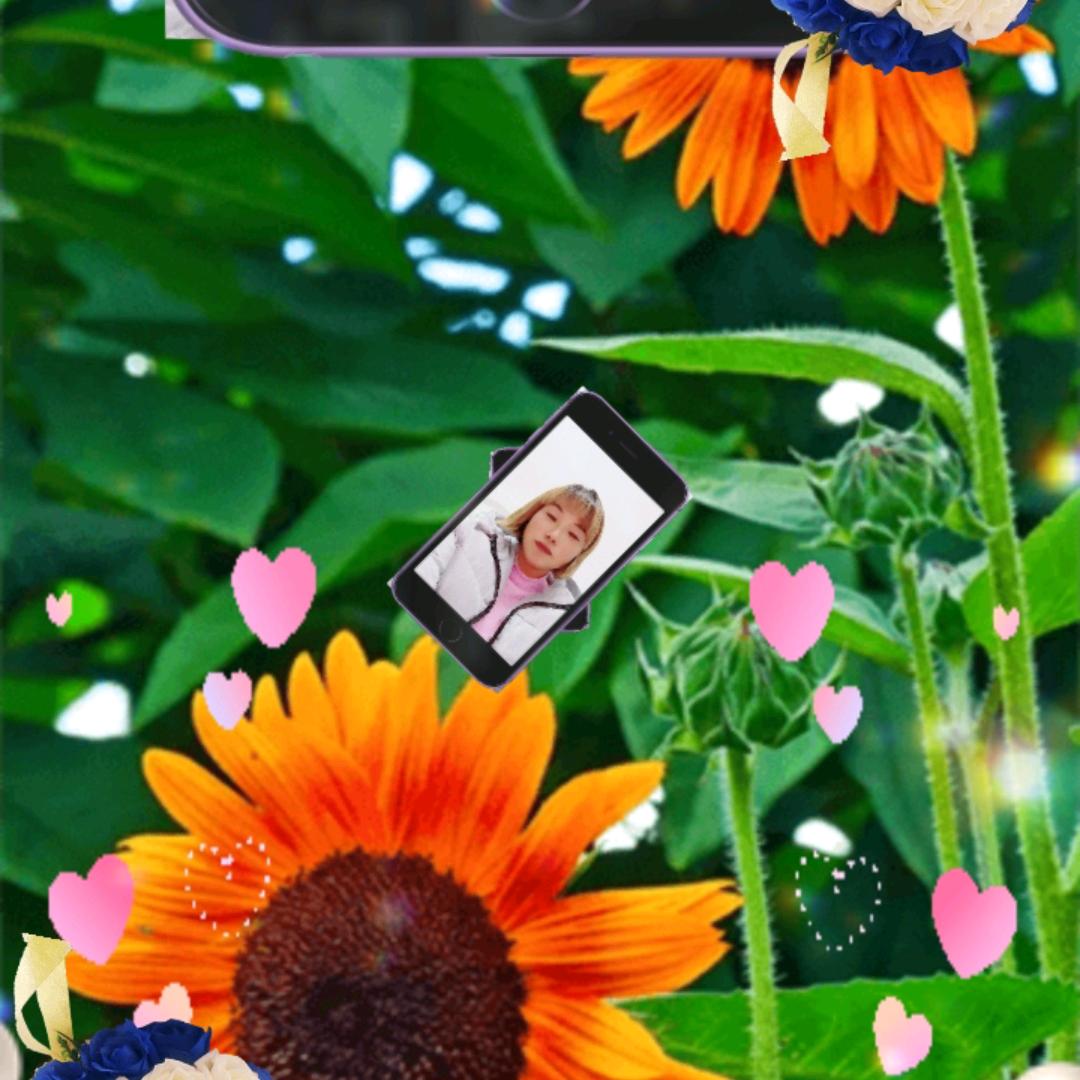 孙玉芹