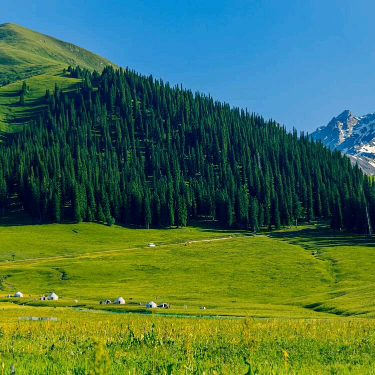 图尔贡·唔普尔