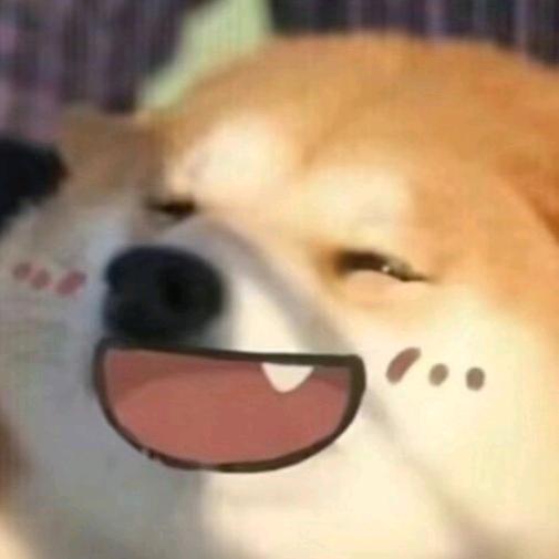 黄毛兽耳大狗哥