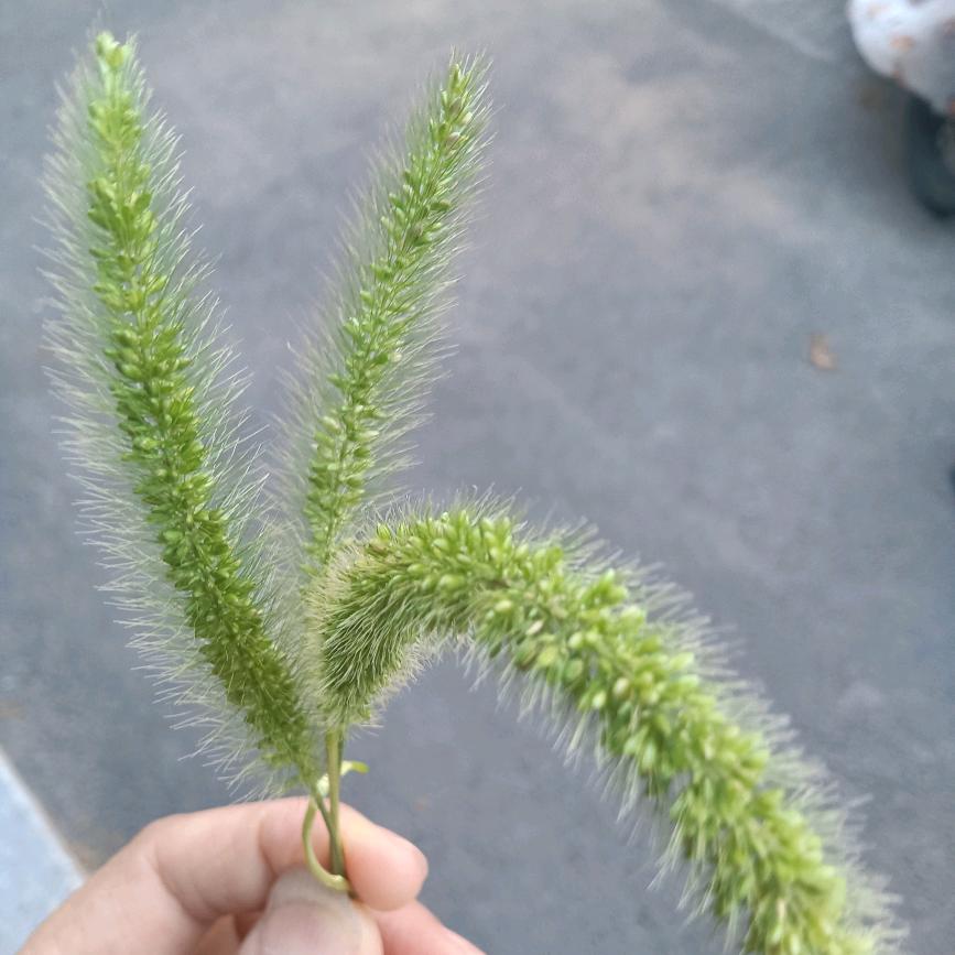 让芯归零