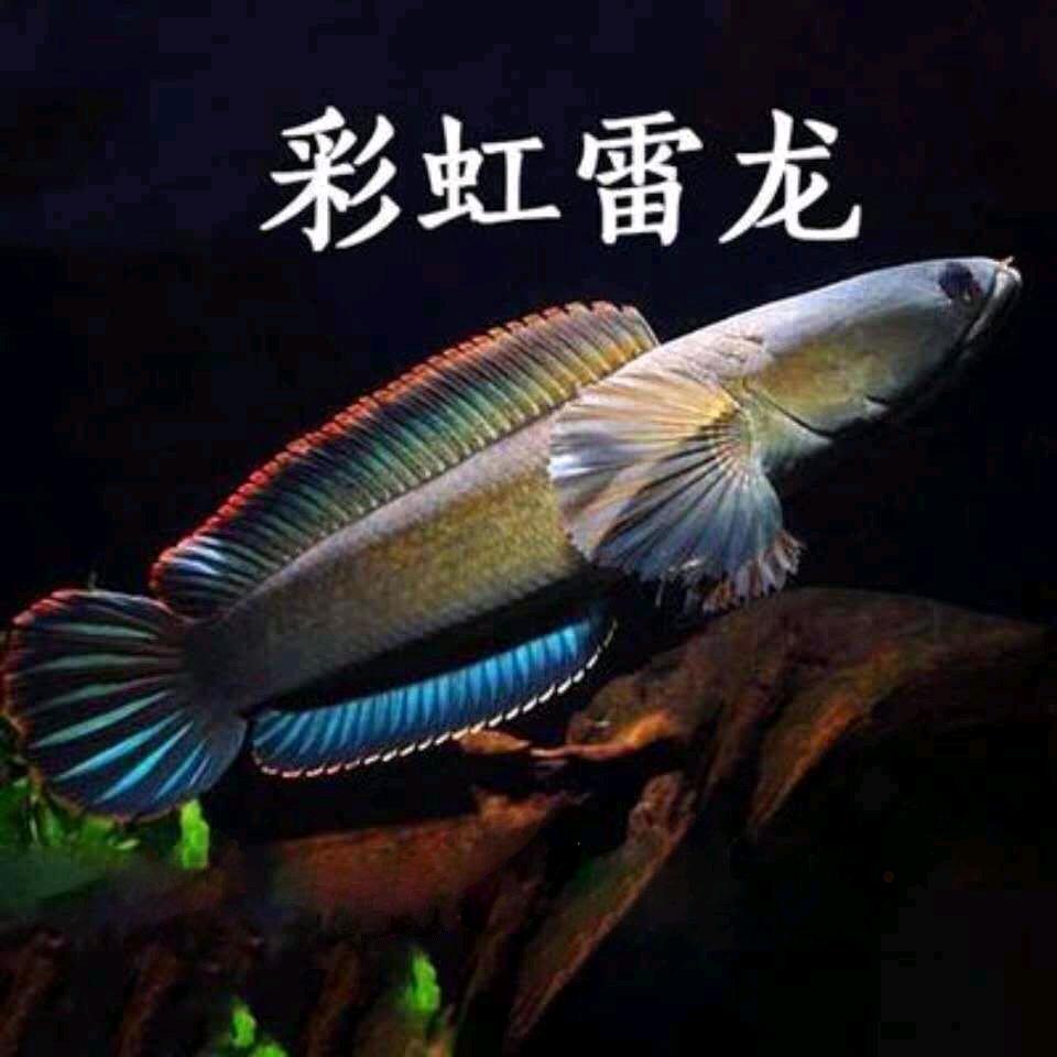海川渔仓