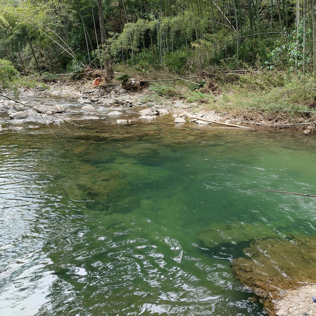 预见蒸好(乱世年华)