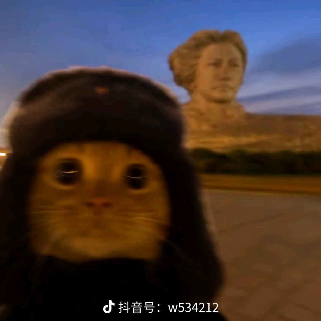 小小胡