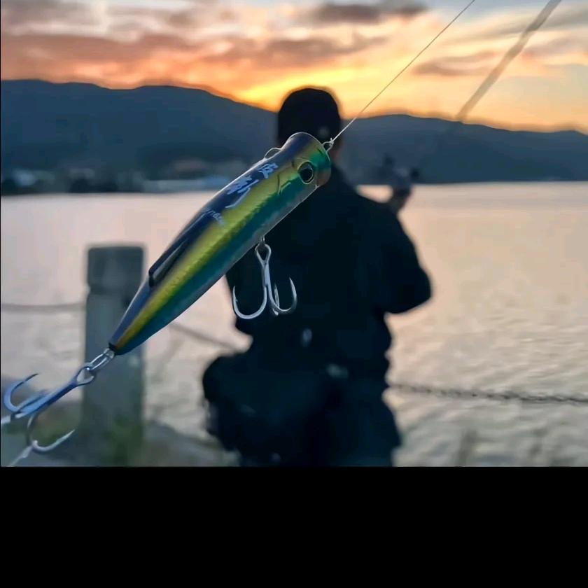 🫧太和🎣何蜀黍🫧
