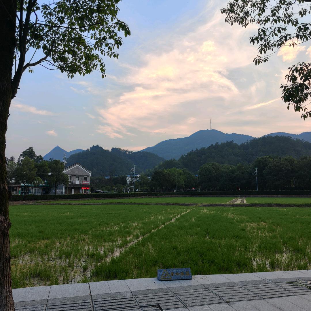 飘红