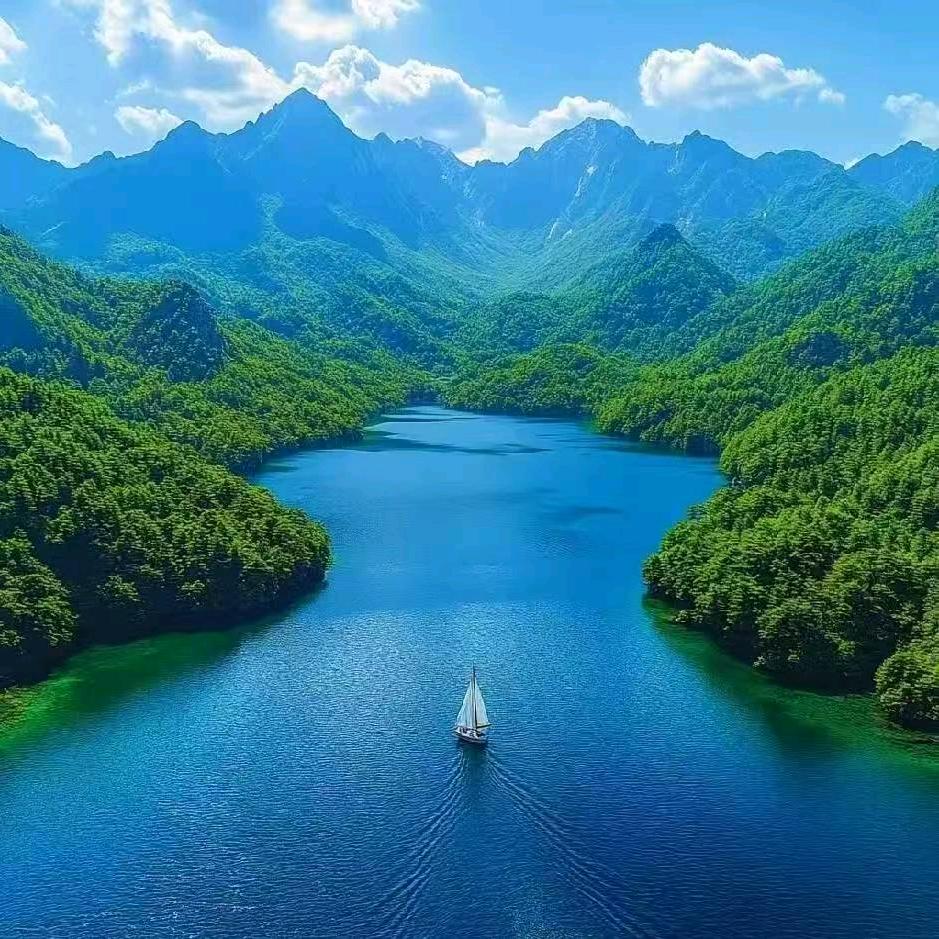 朝小树