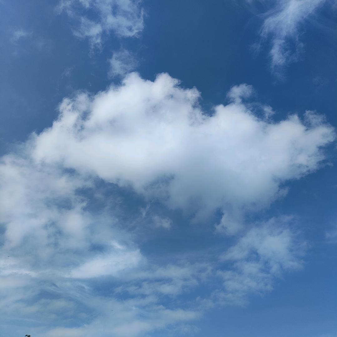 泌阳