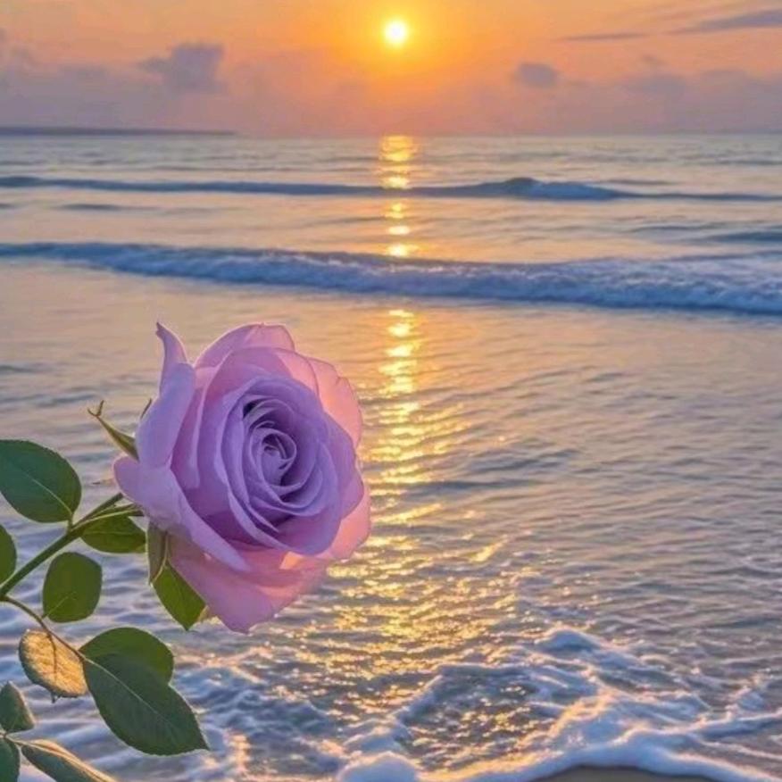 加薪饼干🍪🍪