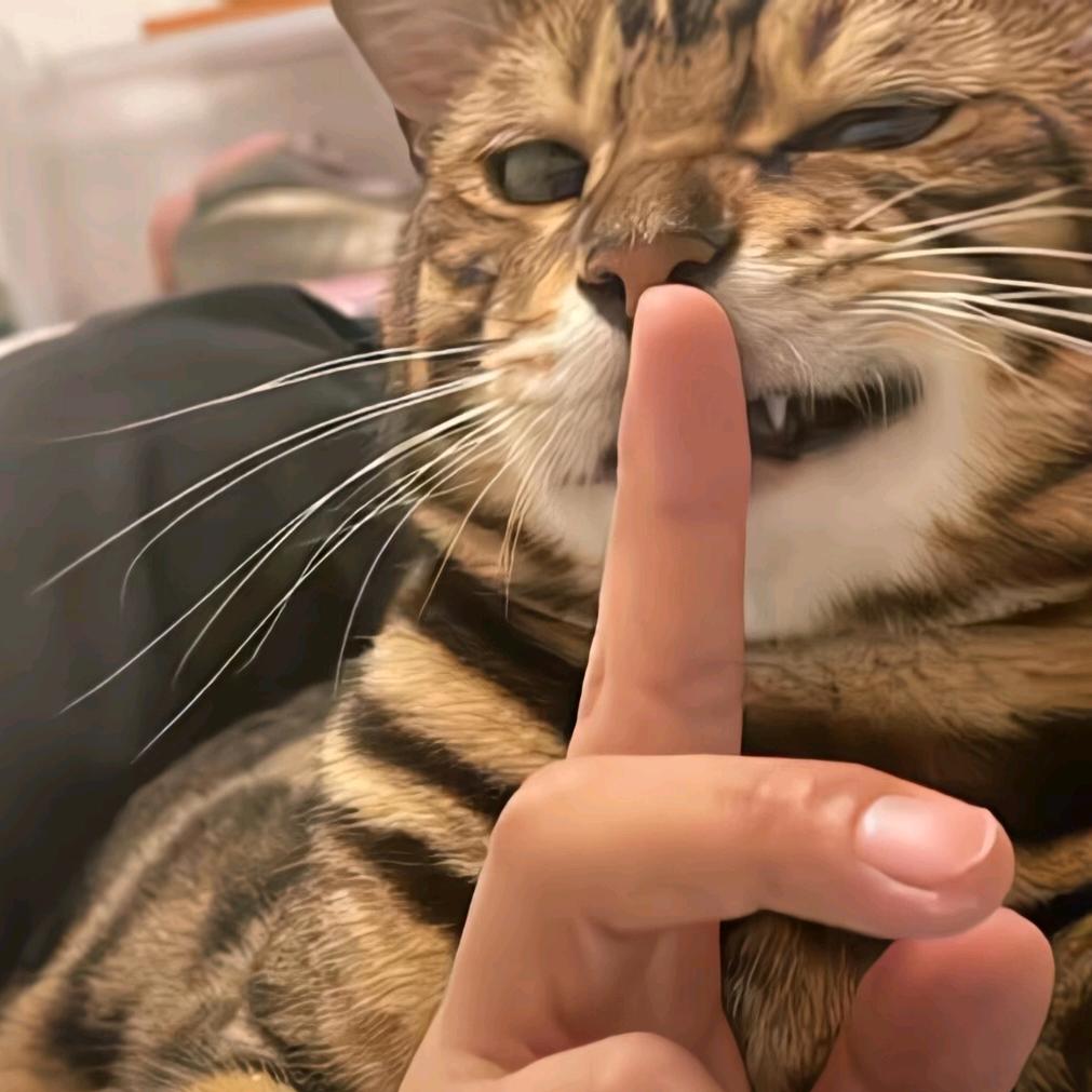 臭豆豉