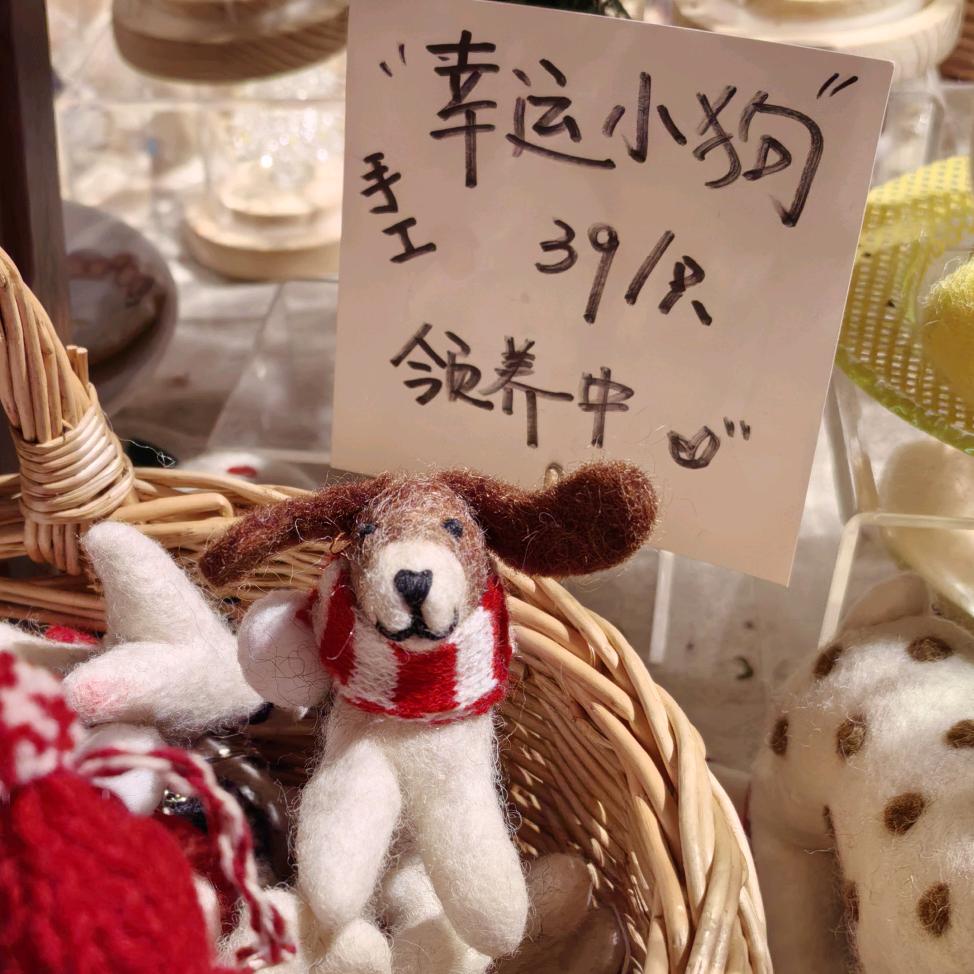 小安然（学琴版）