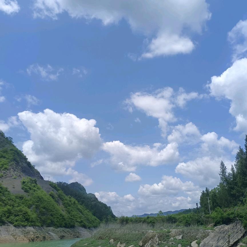 躺平艺术家
