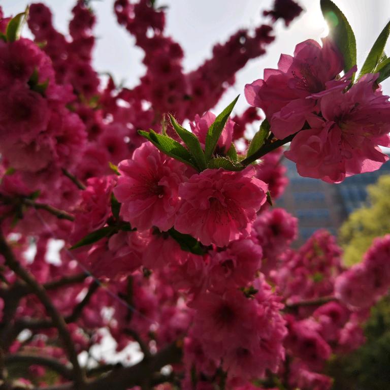我们的时光